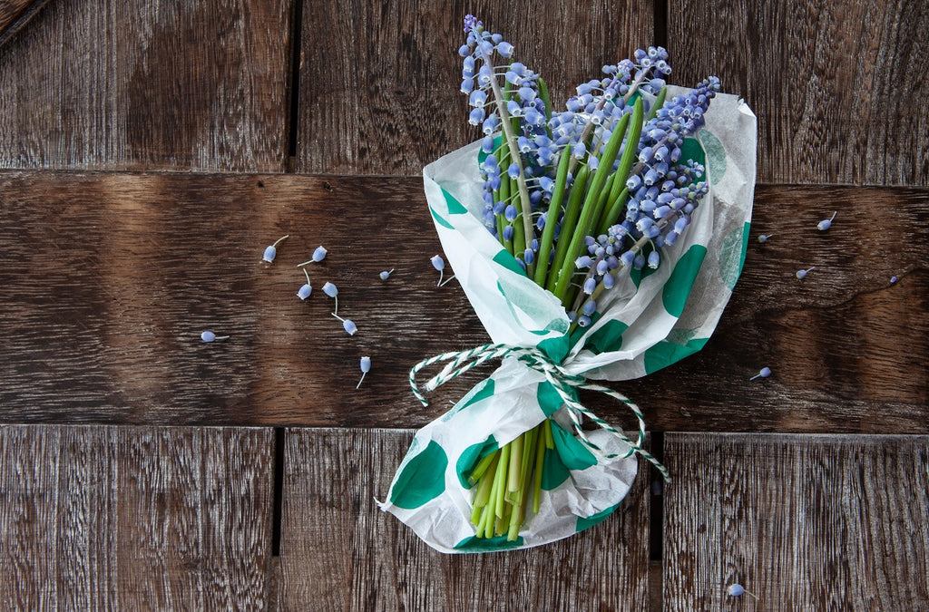 It’s Never Too Late to Say Sorry—Flowers for Apologies