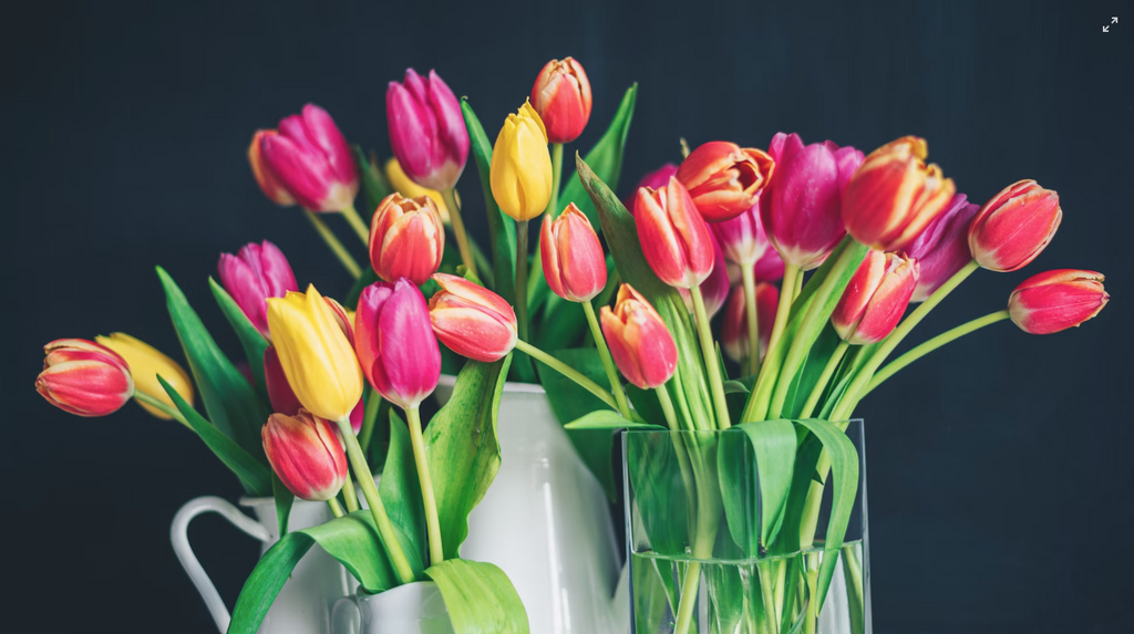 The Language of Tulips: Expressing Emotions through Blossoms