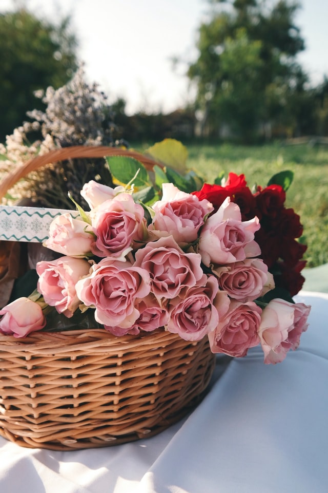 The Most Romantic Flowers That You May Give as a Gift