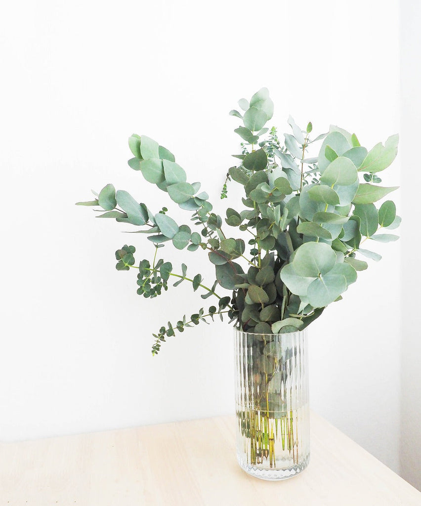 7 Best Foliage Choices to Elevate Your Flower Bouquet