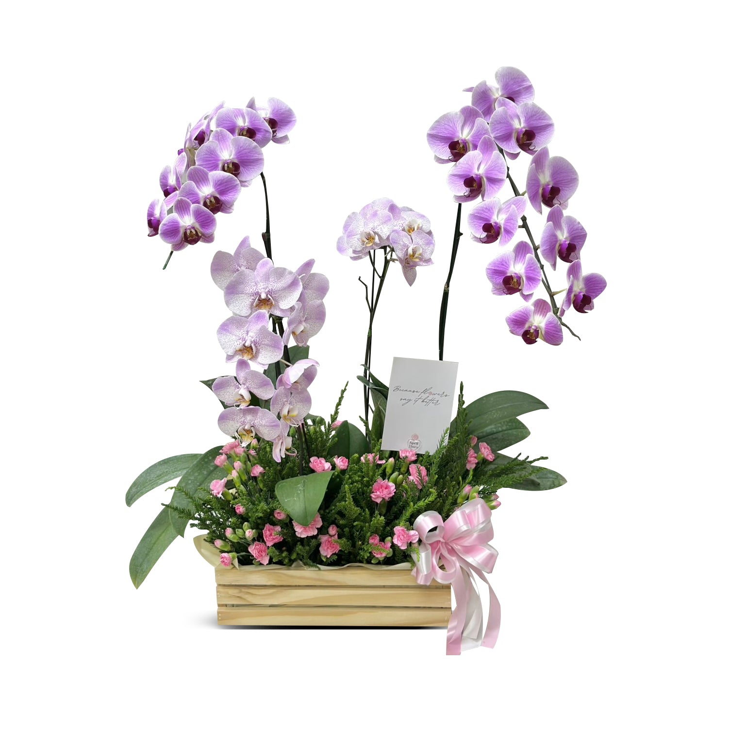 ตะกร้าดอกไม้ "Phalaenopsis Majestic Charm"