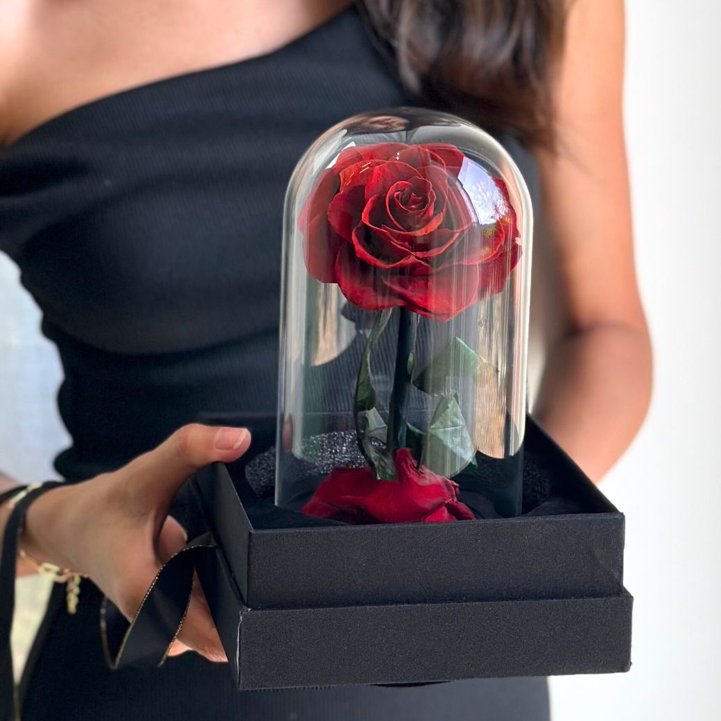 "Forever Love" Red Preserved Rose (H 22cm x W 15cm)