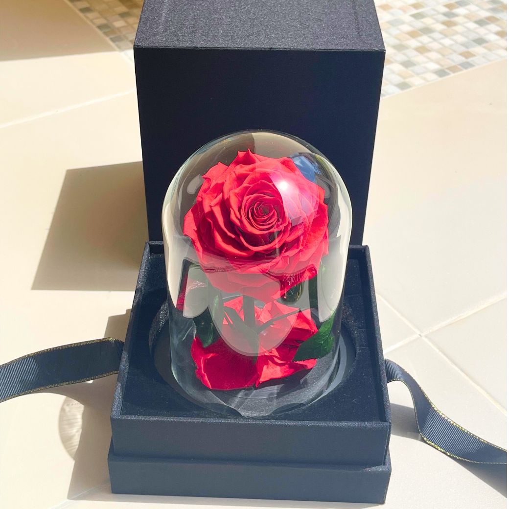 "Only You" Romantic Small Preserved Red Rose (H 15cm x W 10cm)